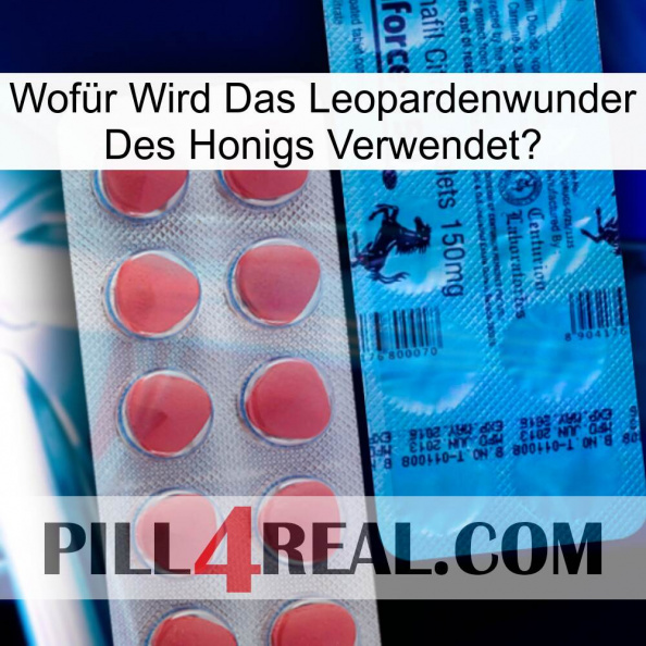 Wofür Wird Das Leopardenwunder Des Honigs Verwendet new14
